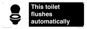 This toilet flushes automatically